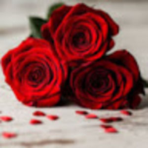 Meet your Posher, Rayner